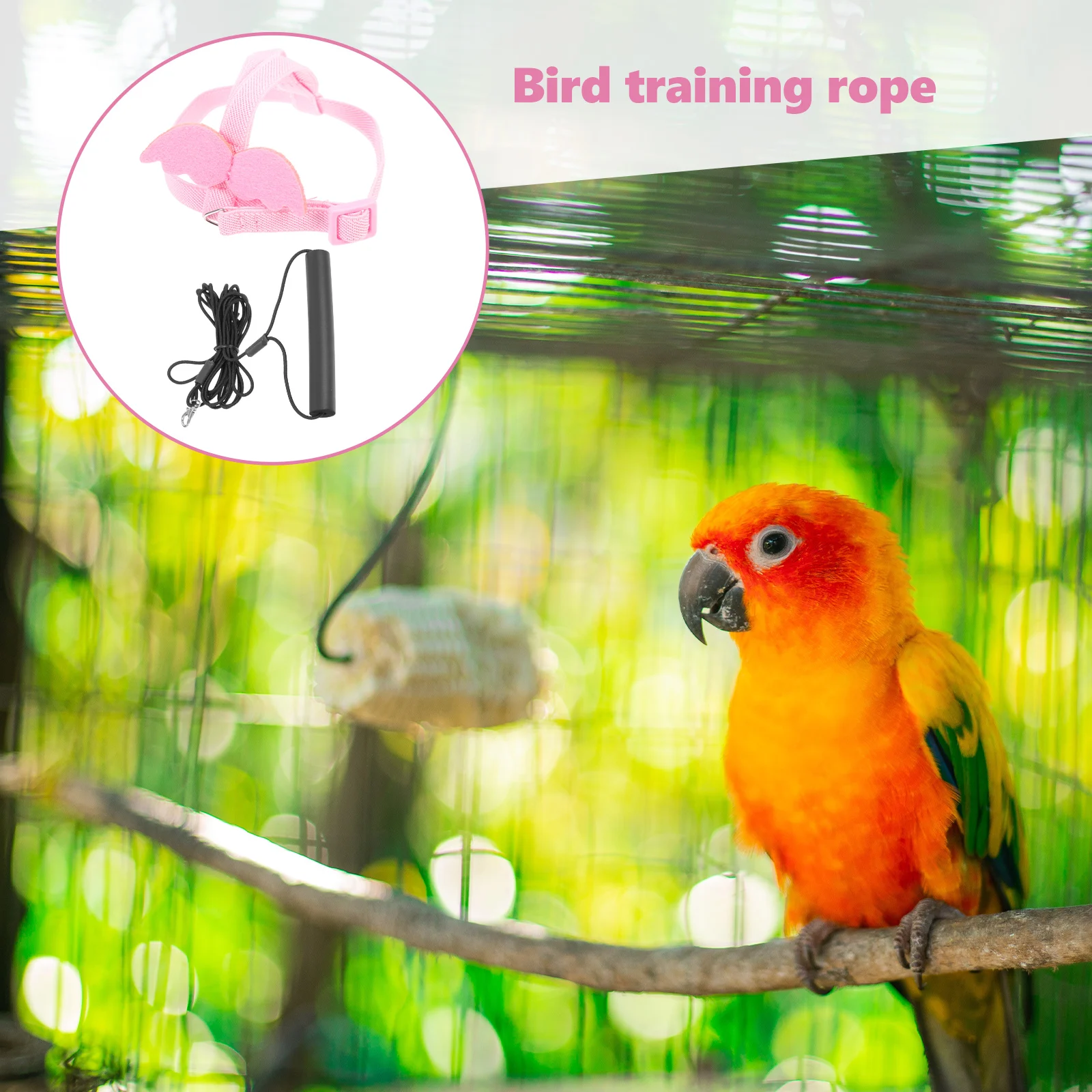 Elastic Flying Rope for Birds Parrot Training Leash Non Handle Lightweight Safe Outdoor Flight Pet Bird
Elastic Flying Rope for Birds Parrot Training Leash Non Handle Lightweight Safe Outdoor Flight Pet Bird