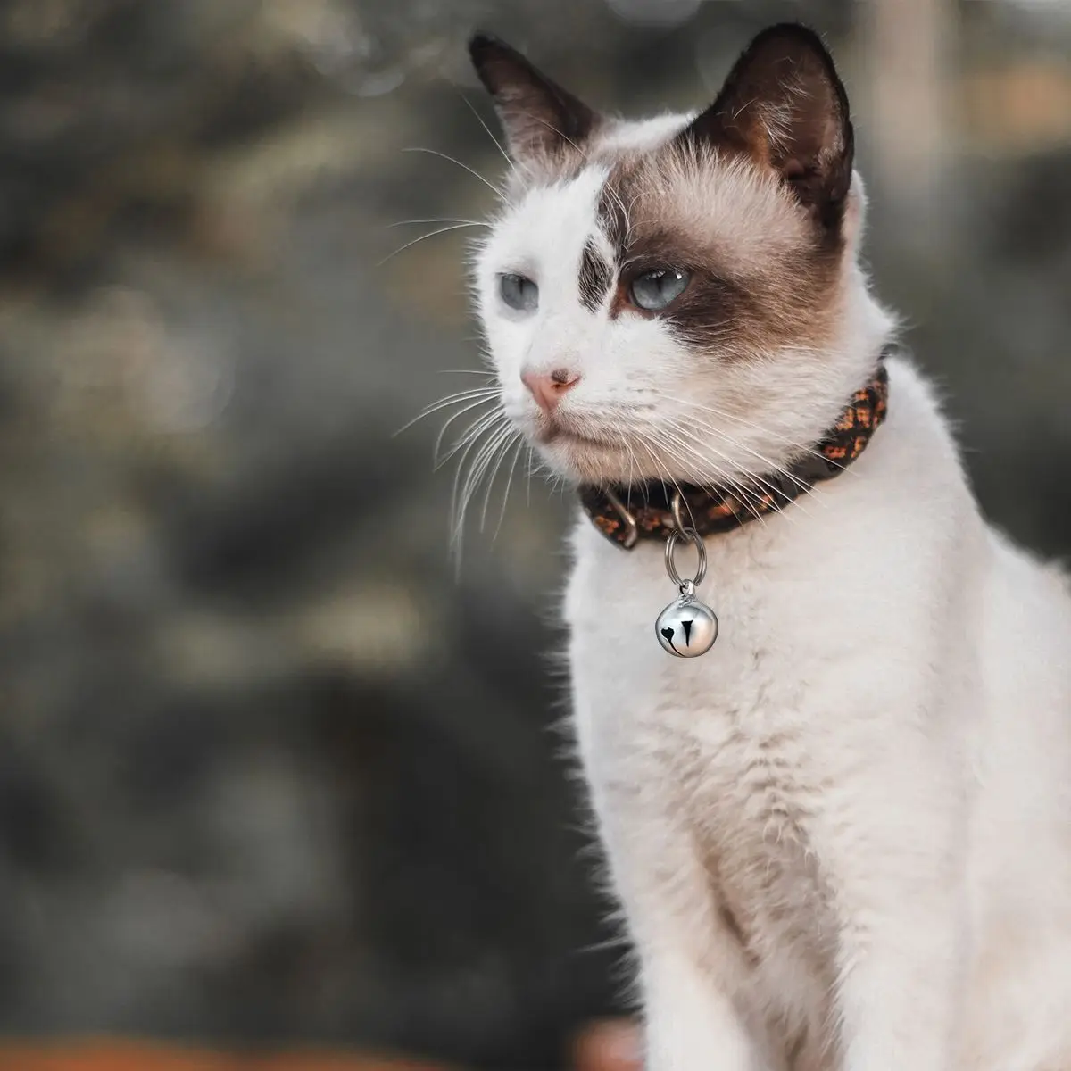 Pet Bells Collar Accessories Copper Cartoon Lightweight Dog Bells Open Necklace Metal Daily Activity Small Design Gift
Pet Bells Collar Accessories Copper Cartoon Lightweight Dog Bells Open Necklace Metal Daily Activity Small Design Gift