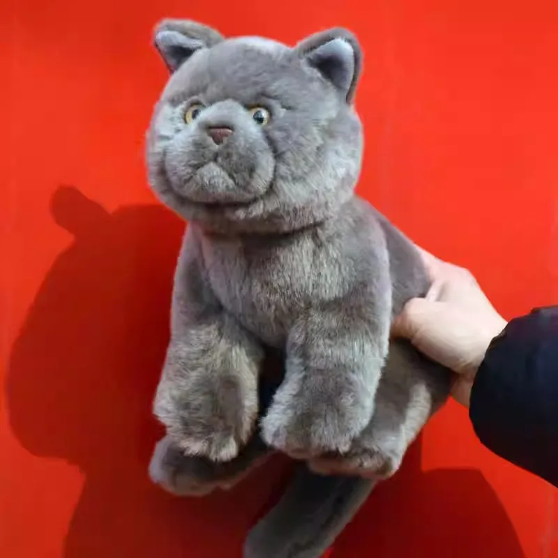 Simulation Animal British Short Hair Cat Plush Doll Cute Grey Little Cat Plush Toy Short Haired Cats s Birthday Gift Decoration
Simulation Animal British Short Hair Cat Plush Doll Cute Grey Little Cat Plush Toy Short Haired Cats s Birthday Gift Decoration