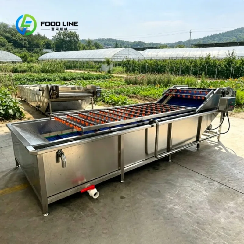 Industrial Bubble Cleaning Equipment Automatic Vegetable Washer for Processing Plants and Factories
Industrial Bubble Cleaning Equipment Automatic Vegetable Washer for Processing Plants and Factories