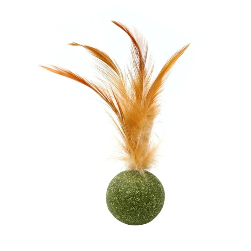 Pet Catnip Toys Edible Catnip Ball Cat Mint Cats Household Chasing Game Toy Products Cleaning Teeth Pet Toy Supplies
Pet Catnip Toys Edible Catnip Ball Cat Mint Cats Household Chasing Game Toy Products Cleaning Teeth Pet Toy Supplies