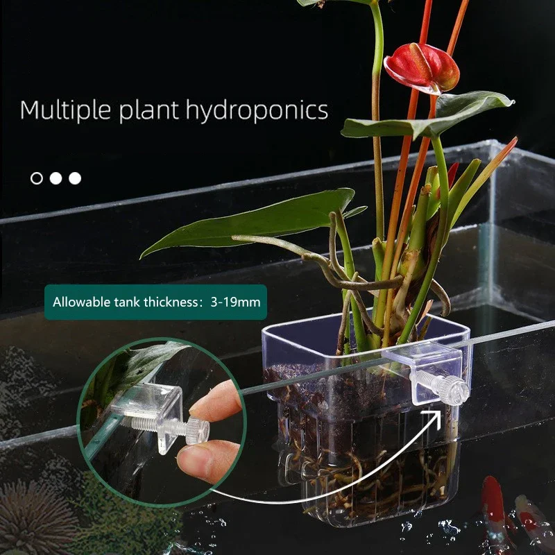 1Pc Hanging Aquarium Planter Cups ABS Fish Tank Wall Mounted Aquatic Plants Holder Aquarium Planter Basket Fish Tank Plants Pot
1Pc Hanging Aquarium Planter Cups ABS Fish Tank Wall Mounted Aquatic Plants Holder Aquarium Planter Basket Fish Tank Plants Pot