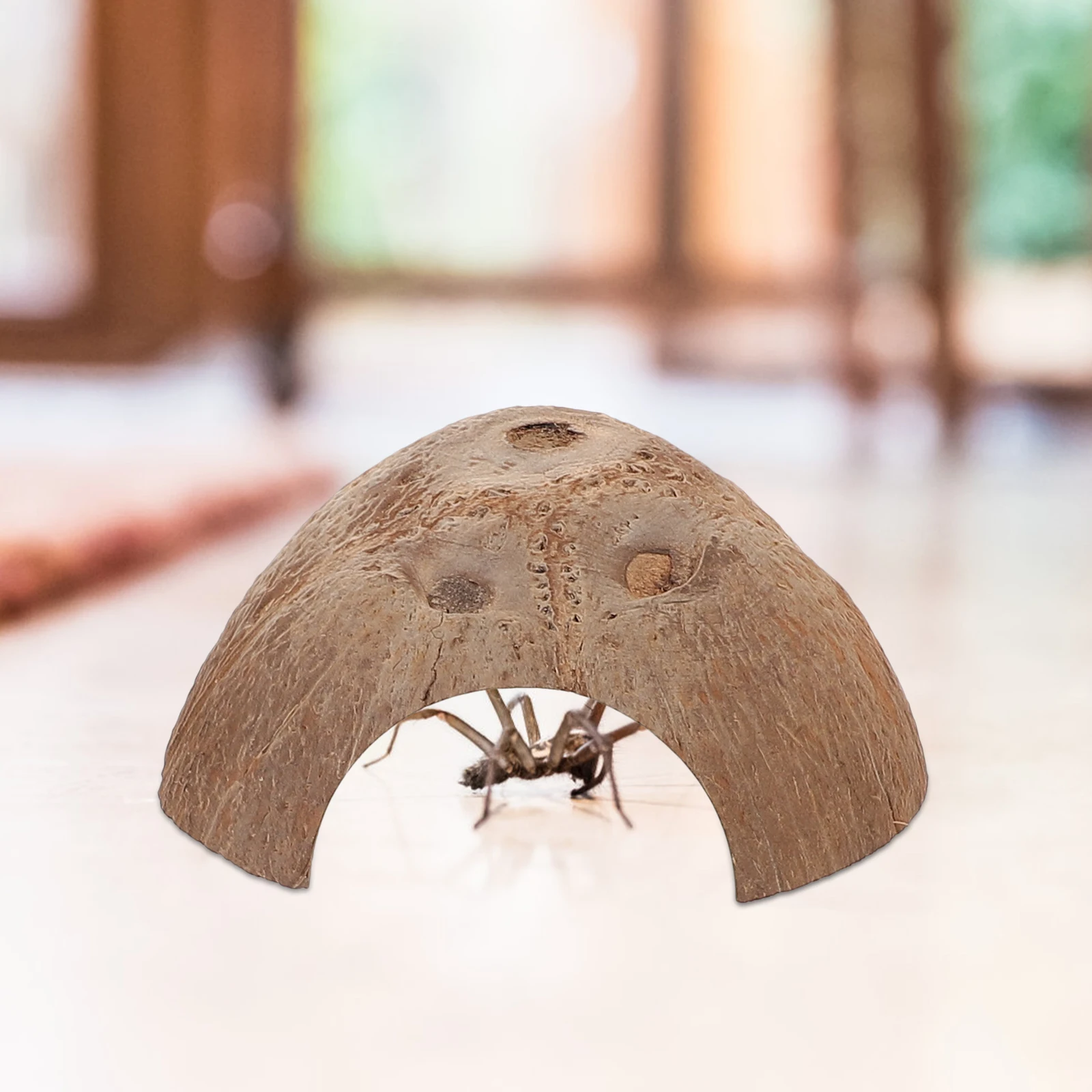 3PCS Coconut Reptile Hideout Durable Shelter Terrarium Decor Small Pet Cave Lifelike Details Safe Hiding Place Beautiful L
3PCS Coconut Reptile Hideout Durable Shelter Terrarium Decor Small Pet Cave Lifelike Details Safe Hiding Place Beautiful L