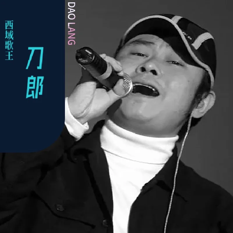 Asia China Pop Music Male Singer Dao Lang 120 MP3 Songs Collection 2 Discs Chinese Music Learning Tools
Asia China Pop Music Male Singer Dao Lang 120 MP3 Songs Collection 2 Discs Chinese Music Learning Tools