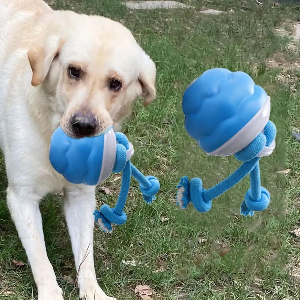 Bite Resistant Electric Dog Toy Ball Automatic Bouncing LED Lighting Electric Jumping Ball Toy Dog Interactive Ball Dog Supplies
Bite Resistant Electric Dog Toy Ball Automatic Bouncing LED Lighting Electric Jumping Ball Toy Dog Interactive Ball Dog Supplies