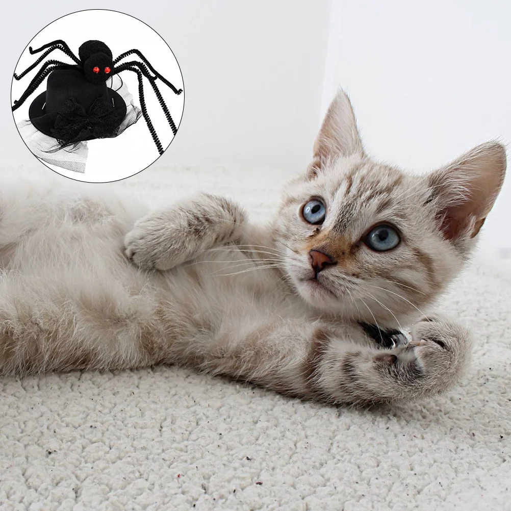 2Pcs Halloween Pet Hat Spider Pattern Adjustable Soft Comfortable Fabric for Dogs Cats Cosplay Party Costume Pet Halloween Hat
2Pcs Halloween Pet Hat Spider Pattern Adjustable Soft Comfortable Fabric for Dogs Cats Cosplay Party Costume Pet Halloween Hat