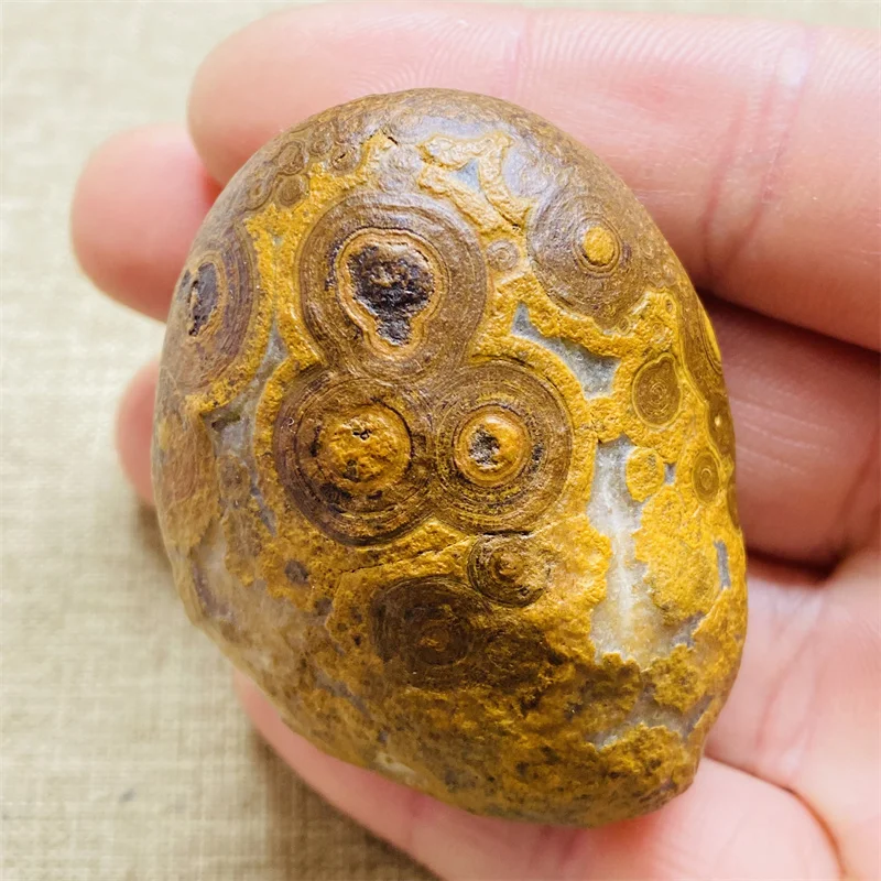 Natural Gobi Stone within stone phonolite Energy Crystal Healing Home Ornament Gift
Natural Gobi Stone within stone phonolite Energy Crystal Healing Home Ornament Gift