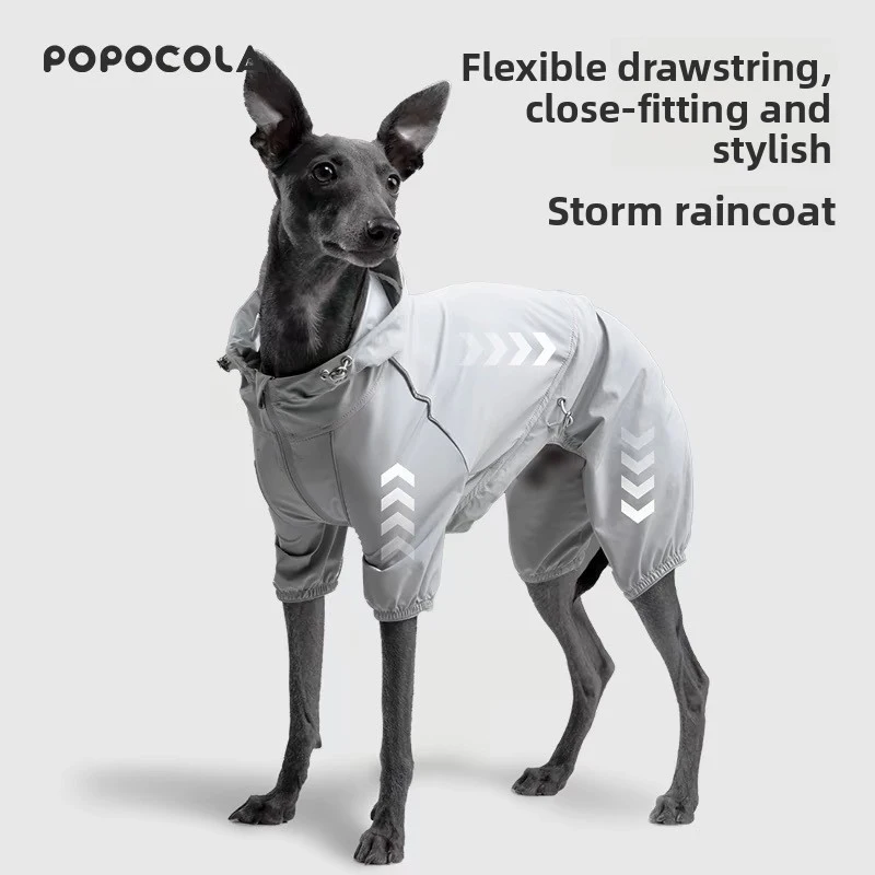 2026 New Full Cover Waterproof Dog Raincoat, 4 Legs For All Size Dogs
2026 New Full Cover Waterproof Dog Raincoat, 4 Legs For All Size Dogs