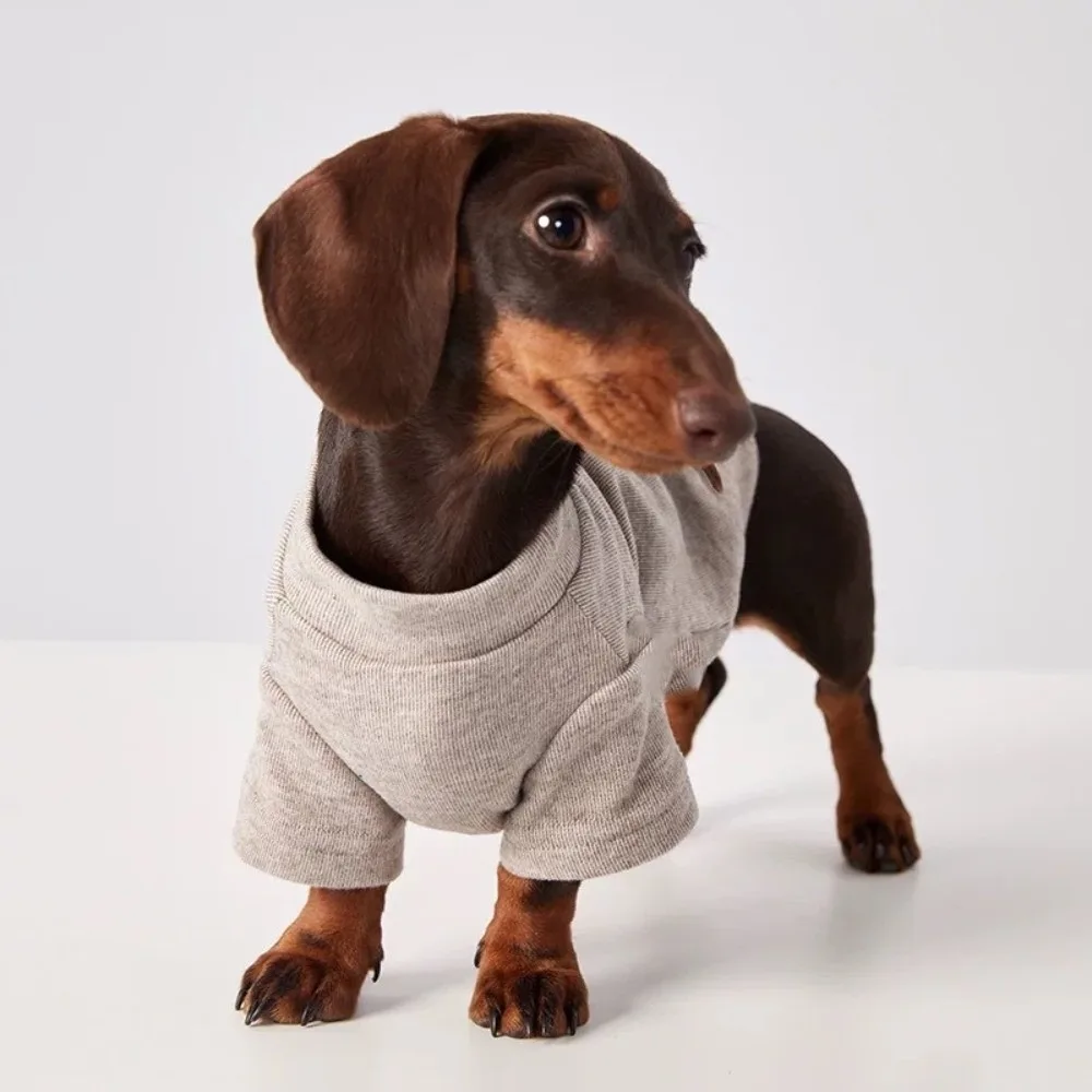 Handsome Keep Warm Winter Dogs Sweater Solid Color Dachshund Dogs Dogs Undershirt Comfortable Texture Pet Dog Clothes Dog
Handsome Keep Warm Winter Dogs Sweater Solid Color Dachshund Dogs Dogs Undershirt Comfortable Texture Pet Dog Clothes Dog