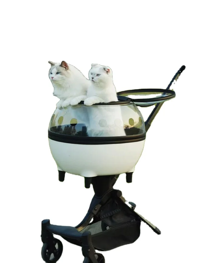 Pet Suitcase for Outdoor Use, Portable Transparent Dog Bag, Pet Stroller, Breathable Backpack for Cats
Pet Suitcase for Outdoor Use, Portable Transparent Dog Bag, Pet Stroller, Breathable Backpack for Cats