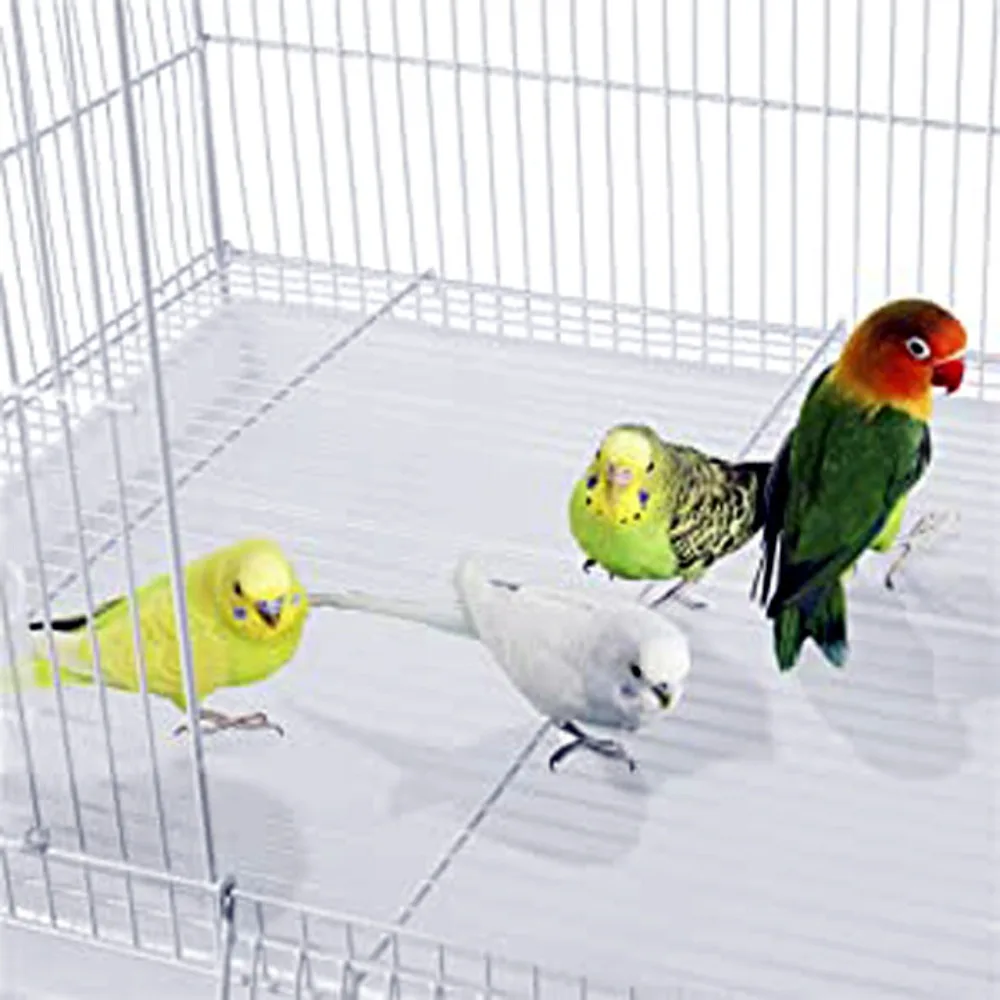 Lot of 6 Breeding Bird Divider Cages For Aviary Canary Budgie Finch 24x16x16"H
Lot of 6 Breeding Bird Divider Cages For Aviary Canary Budgie Finch 24x16x16"H
