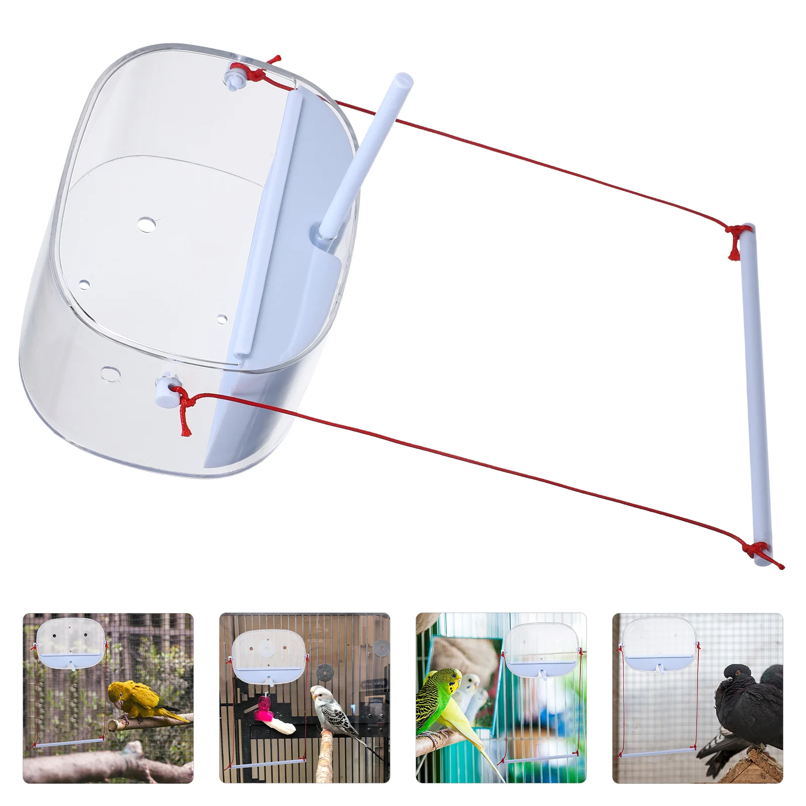 1 set Bird Feeder Transparent Pe Suction Cup For Window Feeding Box Parrot Pigeon Cage Feeder Outdoor Indoor Clear Station
1 set Bird Feeder Transparent Pe Suction Cup For Window Feeding Box Parrot Pigeon Cage Feeder Outdoor Indoor Clear Station