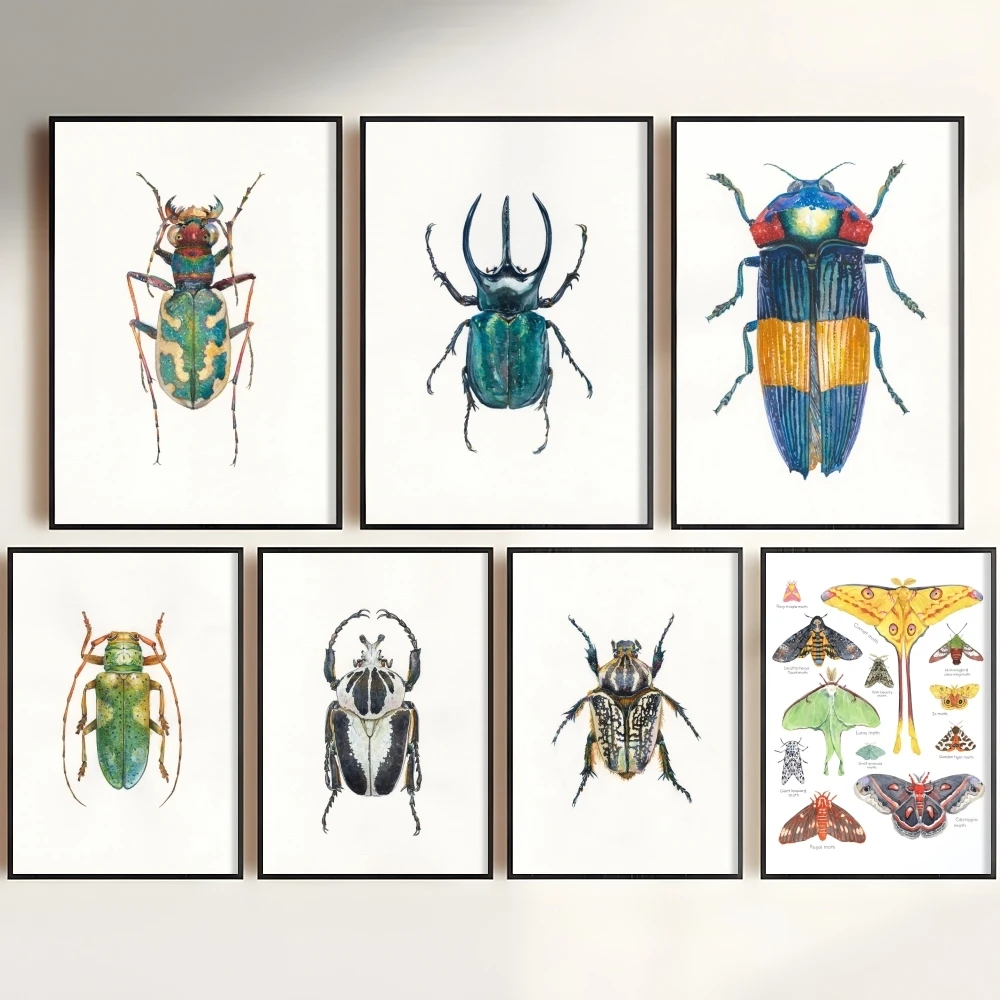 Insects Beetles Bugs Moth Chart Painting Calligraphy Canvas Painting Art for Bedroom Room Home Decor Wall Decoration Decals
Insects Beetles Bugs Moth Chart Painting Calligraphy Canvas Painting Art for Bedroom Room Home Decor Wall Decoration Decals