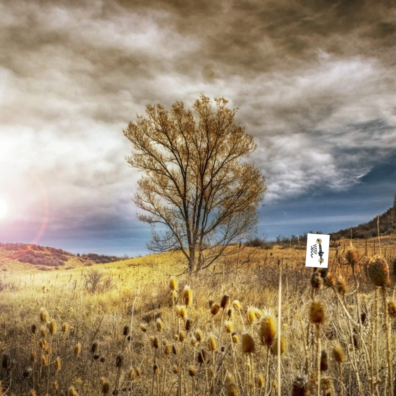 GPM Алюминий 7075, латунный корпус передней прямой оси для AXIAL 1/10 SCX10 pro, детали внедорожного радиоуправляемого автомобиля
GPM Алюминий 7075, латунный корпус передней прямой оси для AXIAL 1/10 SCX10 pro, детали внедорожного радиоуправляемого автомобиля