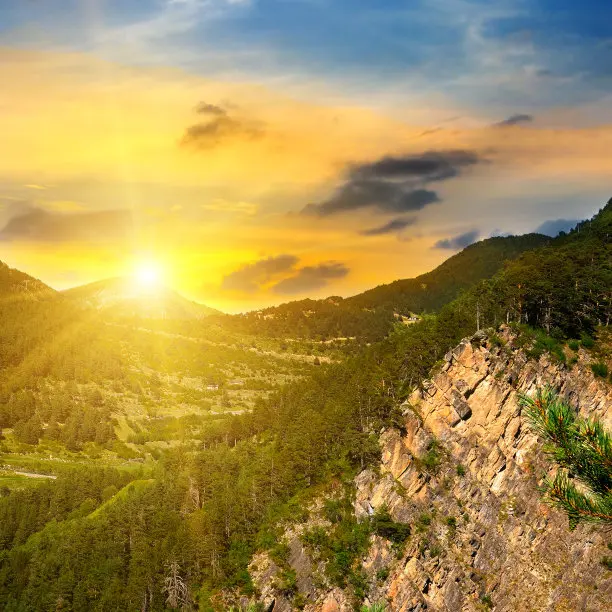 Пара усиленных латунных передних ступичных опор для RC-краулера Trxs TRX4 1/10, противовесы
Пара усиленных латунных передних ступичных опор для RC-краулера Trxs TRX4 1/10, противовесы