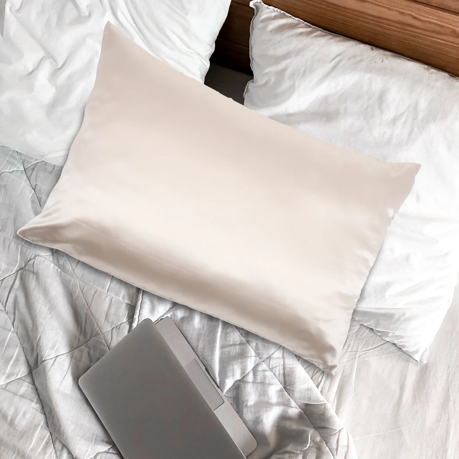 2 Pcs Silk like Pillowcases 20X29 Silver Gray Zipper Comfortable Polyester Bed Covers Breathable Soft Easy Clean
2 Pcs Silk like Pillowcases 20X29 Silver Gray Zipper Comfortable Polyester Bed Covers Breathable Soft Easy Clean