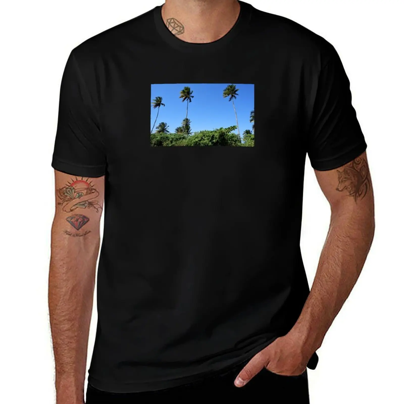 Photo of three plamas in Dorado, Puerto Rico T-Shirt new edition tshirts personalised heavyweights Men's cotton t-shirt
Photo of three plamas in Dorado, Puerto Rico T-Shirt new edition tshirts personalised heavyweights Men's cotton t-shirt