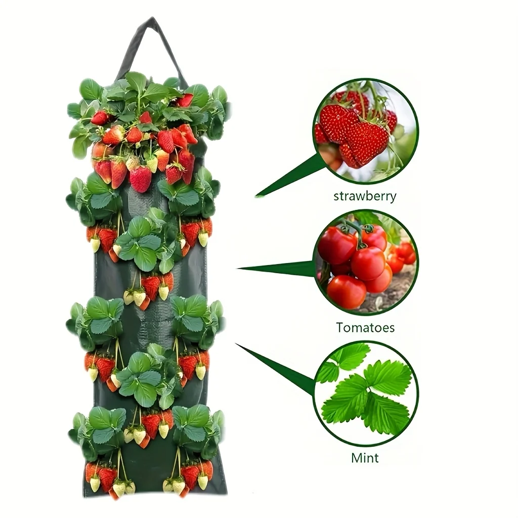 1pc Suspended 8-mouth Strawberry Bag Wall-Mounted Strawberry Grow Bag 8 Pockets Planting Bag Breathable Water-Permeable Reusable
1pc Suspended 8-mouth Strawberry Bag Wall-Mounted Strawberry Grow Bag 8 Pockets Planting Bag Breathable Water-Permeable Reusable