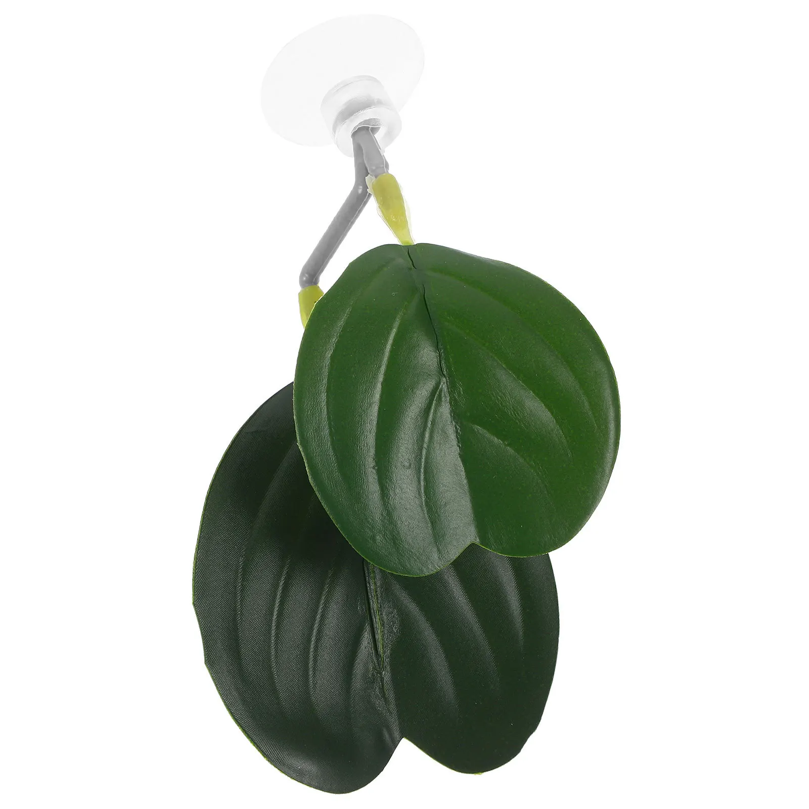 Betta Fish Leaf Pad Naturalistic Plastic Fish Tank Decor Betta Breeding Resting Leaf Suction Cup Aquarium Accessory
Betta Fish Leaf Pad Naturalistic Plastic Fish Tank Decor Betta Breeding Resting Leaf Suction Cup Aquarium Accessory