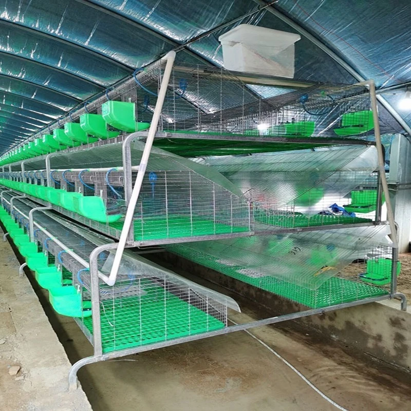 24 Child and Mother Rabbit , Hot-dip Galvanized, Breeding Integrated Cage Mother and Child Cage Outdoor House
24 Child and Mother Rabbit , Hot-dip Galvanized, Breeding Integrated Cage Mother and Child Cage Outdoor House