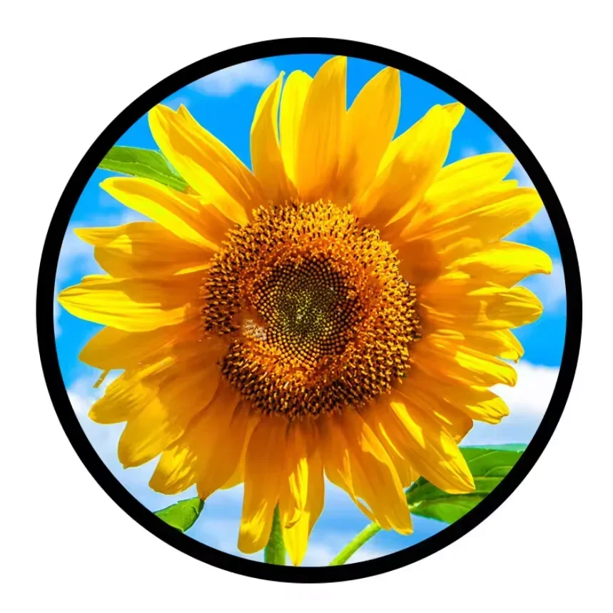 AUO P236RVN01.0 Custom 23.6 Inch Round Display Tft LCD Advertising Screen Digital Signage and Display Lcd Metal Case
AUO P236RVN01.0 Custom 23.6 Inch Round Display Tft LCD Advertising Screen Digital Signage and Display Lcd Metal Case