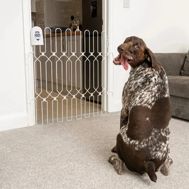 Wholesale Pet Supplies Adjustable Metal Dog Gate, Expandable Safety Barrier for Doorways & Stairways
Wholesale Pet Supplies Adjustable Metal Dog Gate, Expandable Safety Barrier for Doorways & Stairways