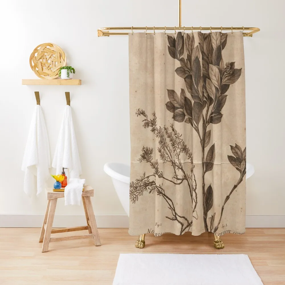 dark academia Shower Curtain Bathroom Showers Transparent Bathroom Shower Shower For Bathroom Funny Curtain 
dark academia Shower Curtain Bathroom Showers Transparent Bathroom Shower Shower For Bathroom Funny Curtain