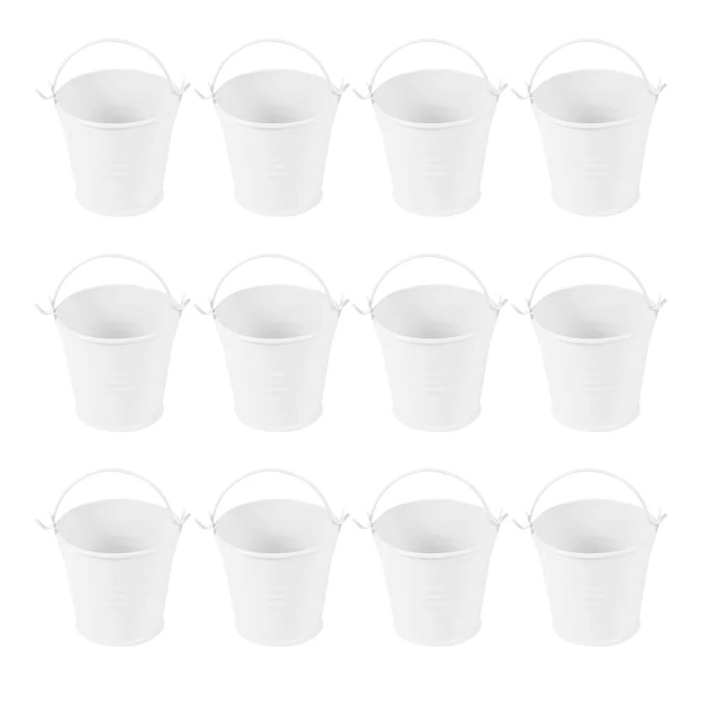 12 Pcs Small Iron Bucket Mini Craft Succulent Planters Garden Decor Flowerpot with Handle for Home Compact Simple
12 Pcs Small Iron Bucket Mini Craft Succulent Planters Garden Decor Flowerpot with Handle for Home Compact Simple