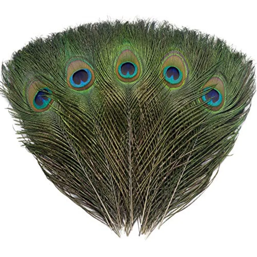 24 PCS Real Natural Peacock Eye Feathers 0-2 inch for DIY Craft, Wedding and Holiday Decorations
24 PCS Real Natural Peacock Eye Feathers 0-2 inch for DIY Craft, Wedding and Holiday Decorations