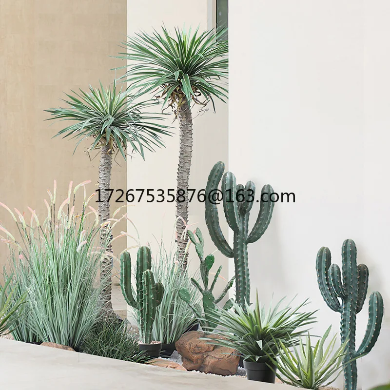Simulation Measuring Ruler Cactus Green Plant Cactus Potted Plant Tropical Sand Plant Landscaping Exhibition Hall Homestay Cafe
Simulation Measuring Ruler Cactus Green Plant Cactus Potted Plant Tropical Sand Plant Landscaping Exhibition Hall Homestay Cafe