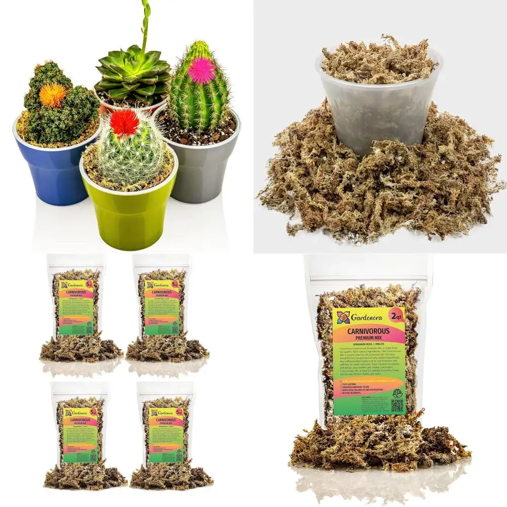 Сделанная в США грунтосмесь для мясных растений объемом 20 кварт: смесь сфагнума и перлитов
Сделанная в США грунтосмесь для мясных растений объемом 20 кварт: смесь сфагнума и перлитов