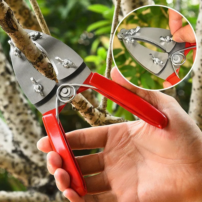 Ножницы для обрезки коры фруктовых деревьев, инструмент для снятия коры для сада, огорода, виноградников и горшечных растений - Инструмент для снятия коры с деревьев
Ножницы для обрезки коры фруктовых деревьев, инструмент для снятия коры для сада, огорода, виноградников и горшечных растений - Инструмент для снятия коры с деревьев