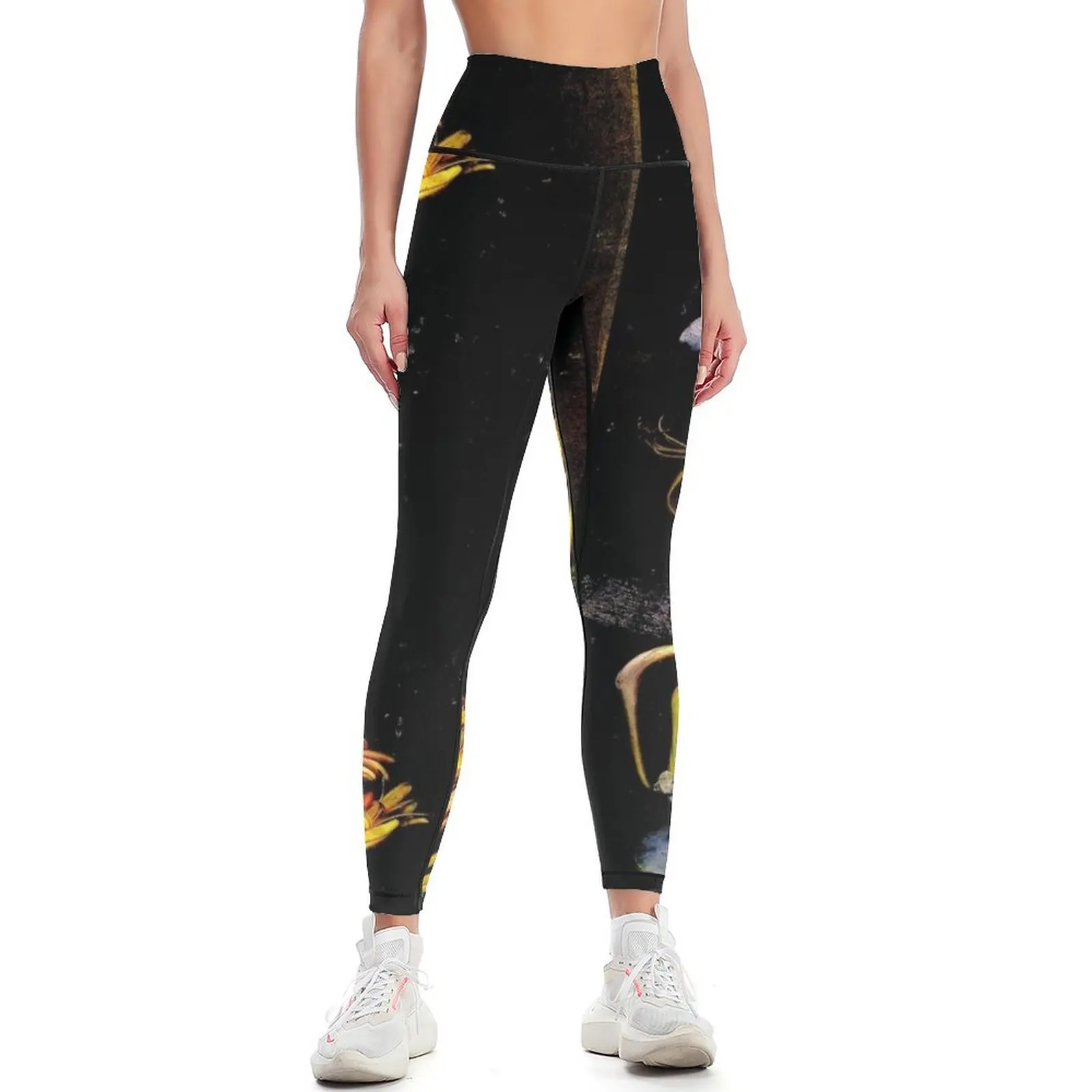 Profond Leggings gym top Women's push up legings for fitness push up legging Womens Leggings
Profond Leggings gym top Women's push up legings for fitness push up legging Womens Leggings