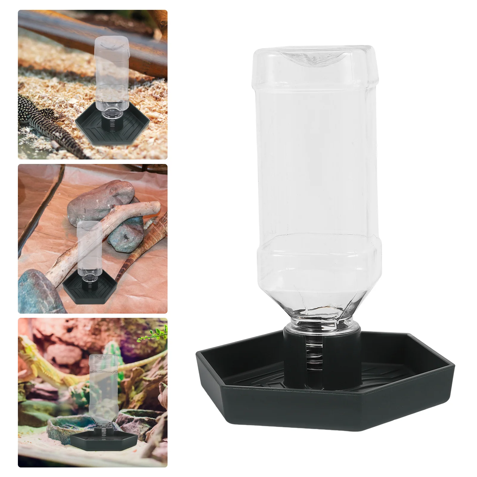 Automatic Waterer For Reptiles Durable Abs Feeding Dish Compact Floor Standing Design Easy Clean Pet Bowl Reptile Supply
Automatic Waterer For Reptiles Durable Abs Feeding Dish Compact Floor Standing Design Easy Clean Pet Bowl Reptile Supply