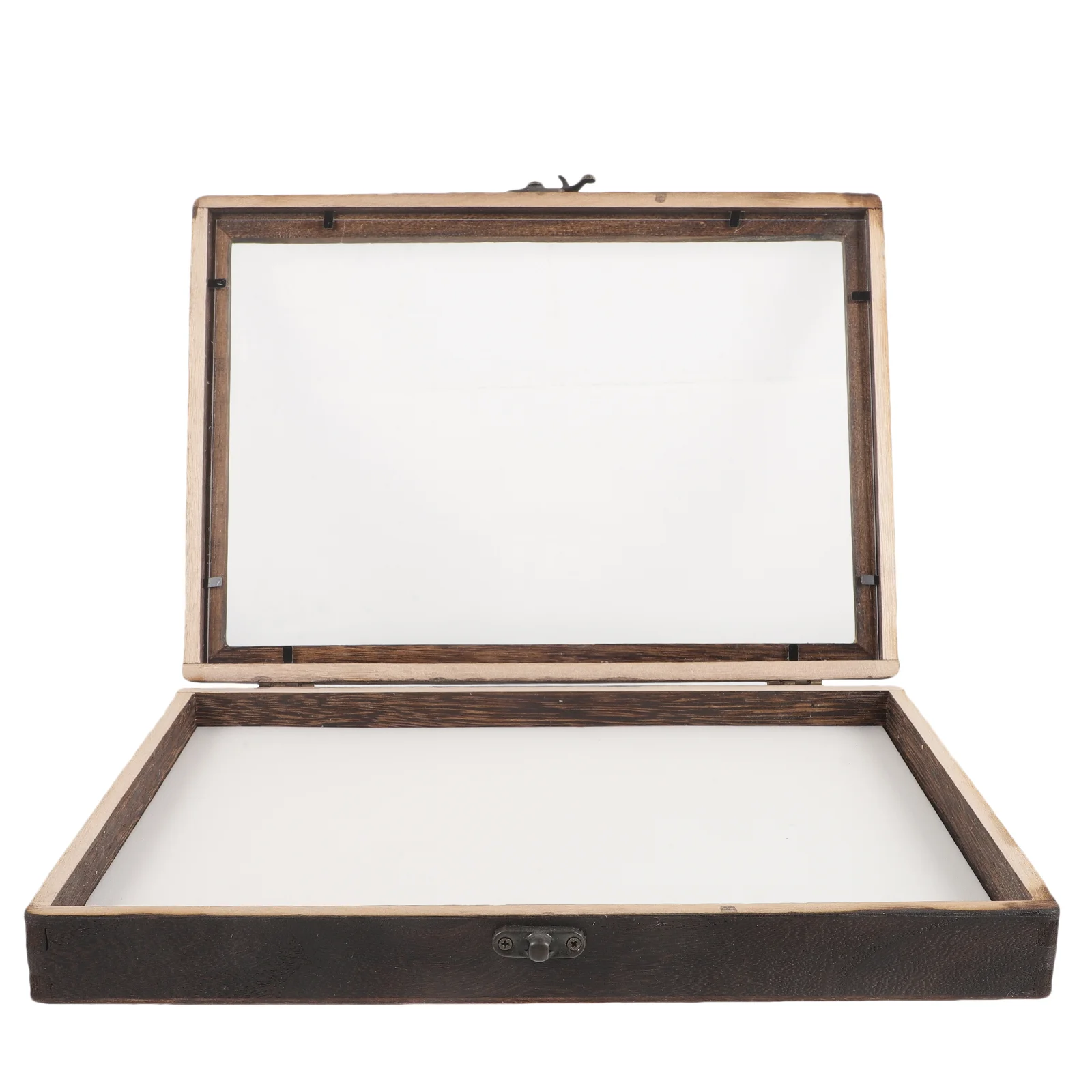 Insect Display Box Specimen Frame Case Butterflies Collection Container Acrylic Pin
Insect Display Box Specimen Frame Case Butterflies Collection Container Acrylic Pin