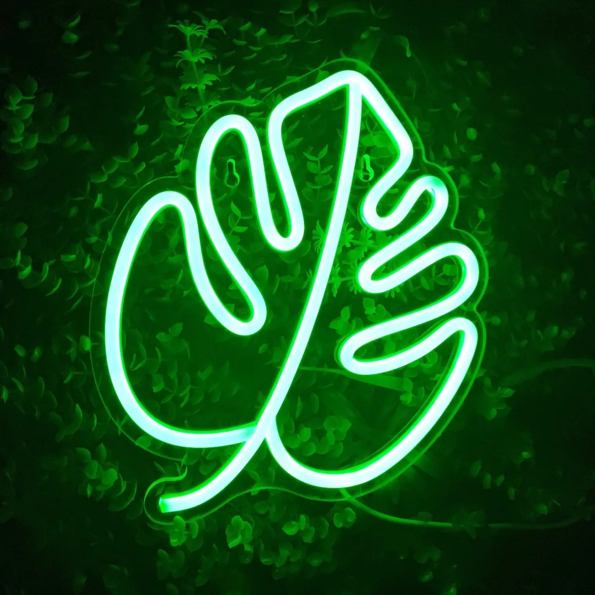 Green Monstera Leaf Neon Light Signs, USB Powered Wall Hanging LED Signs, the Best Ideal Presents for Rooms/Balcony/Garden Decor
Green Monstera Leaf Neon Light Signs, USB Powered Wall Hanging LED Signs, the Best Ideal Presents for Rooms/Balcony/Garden Decor