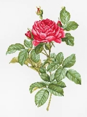 Cross Stitch 14CT Ecological Cotton Threads Embroidery Home Decoration Hanging Letter Flower Throw Red Rose
Cross Stitch 14CT Ecological Cotton Threads Embroidery Home Decoration Hanging Letter Flower Throw Red Rose