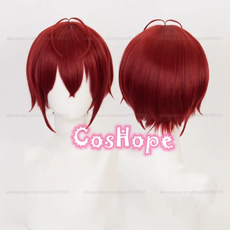 Vampire rosehearts cosplay women short red wig cosplay anime heat resistant synthetic wigs
Vampire rosehearts cosplay women short red wig cosplay anime heat resistant synthetic wigs
