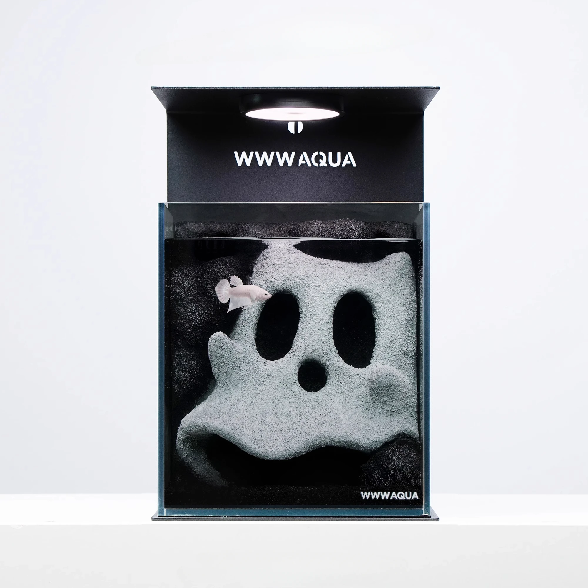 WWW AQUA Desktop Mini Douyu Tank Ghost Horse Series Trend Home Micro Landscape Atmosphere Create Landscape Fish Tank
WWW AQUA Desktop Mini Douyu Tank Ghost Horse Series Trend Home Micro Landscape Atmosphere Create Landscape Fish Tank