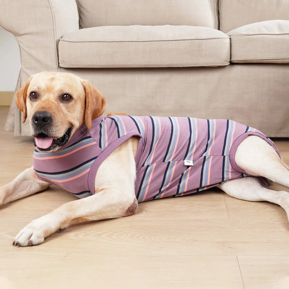 Breathable Dog Surgery Recovery Suit Soft Warm Thickened Postoperative Clothes Comfortable Bite Protective Outfit
Breathable Dog Surgery Recovery Suit Soft Warm Thickened Postoperative Clothes Comfortable Bite Protective Outfit