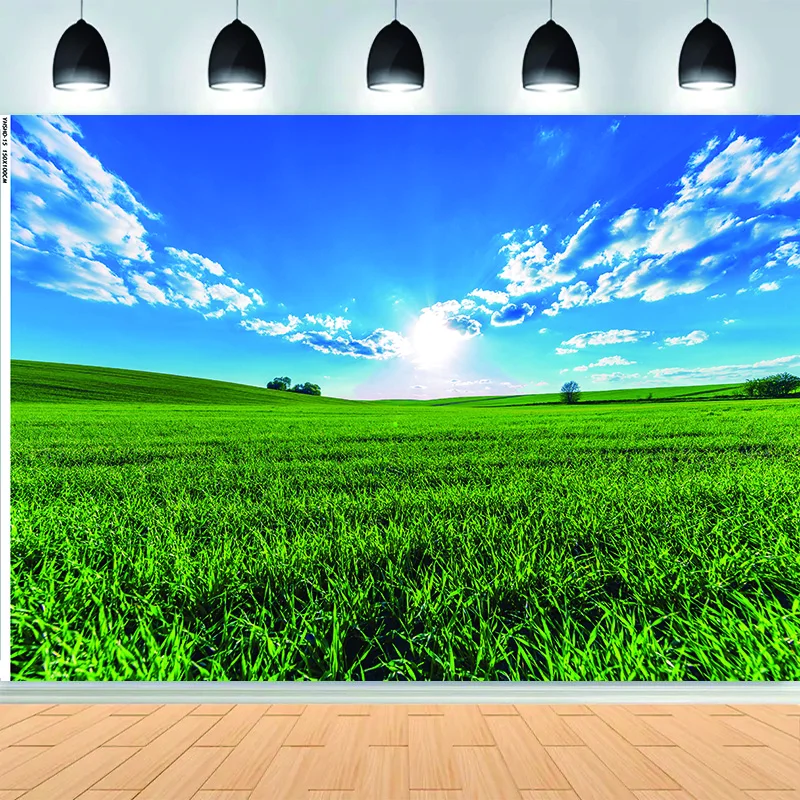 Summer Scenery Forest Photography Backdrops Props City Buliding Grassland Sunlight Cloud Landscape Photo Studio Background HJ-13
Summer Scenery Forest Photography Backdrops Props City Buliding Grassland Sunlight Cloud Landscape Photo Studio Background HJ-13