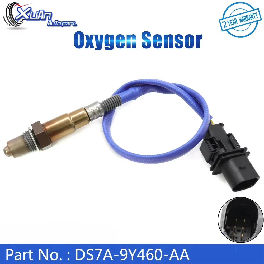 Upstream Air Fuel Ratio Lambda O2 Oxygen Sensor DS7A-9Y460-AA for Ford Fusion Focus Escape C-Max Lincoln MKZ 2.0L 13-19
Upstream Air Fuel Ratio Lambda O2 Oxygen Sensor DS7A-9Y460-AA for Ford Fusion Focus Escape C-Max Lincoln MKZ 2.0L 13-19