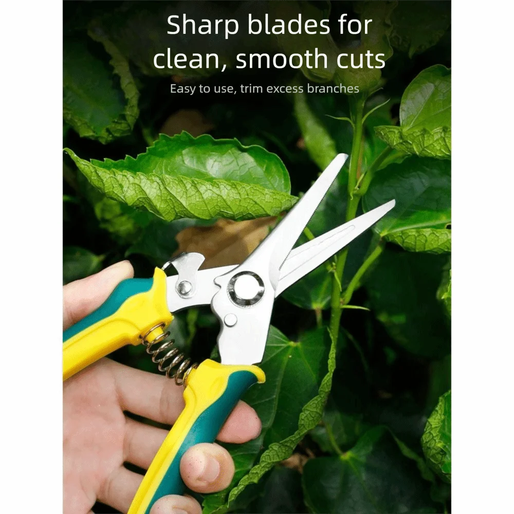 Stainless Steel Pruning Shears Ergonomic Handle Safe Lock Garden Pruner Comfortable Grip Shock Absorbing Tree Branch Trimmer
Stainless Steel Pruning Shears Ergonomic Handle Safe Lock Garden Pruner Comfortable Grip Shock Absorbing Tree Branch Trimmer