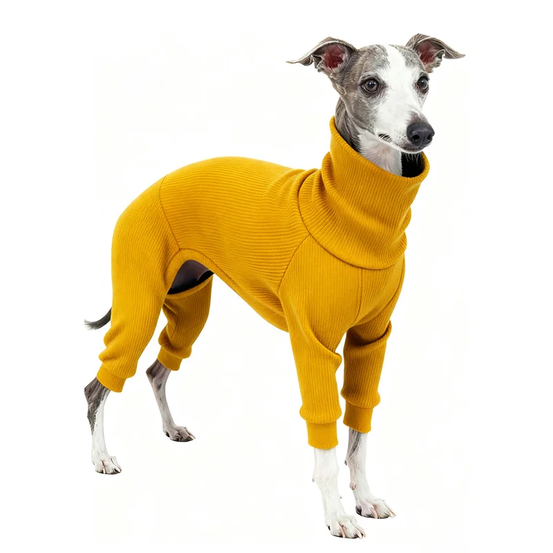 Italian Greyhound Winter Sweater Medium Large Dog High Neck Sweater Overalls Pet Warm Thicken Pajamas Sheepdog Jumpsuit Sweater
Italian Greyhound Winter Sweater Medium Large Dog High Neck Sweater Overalls Pet Warm Thicken Pajamas Sheepdog Jumpsuit Sweater