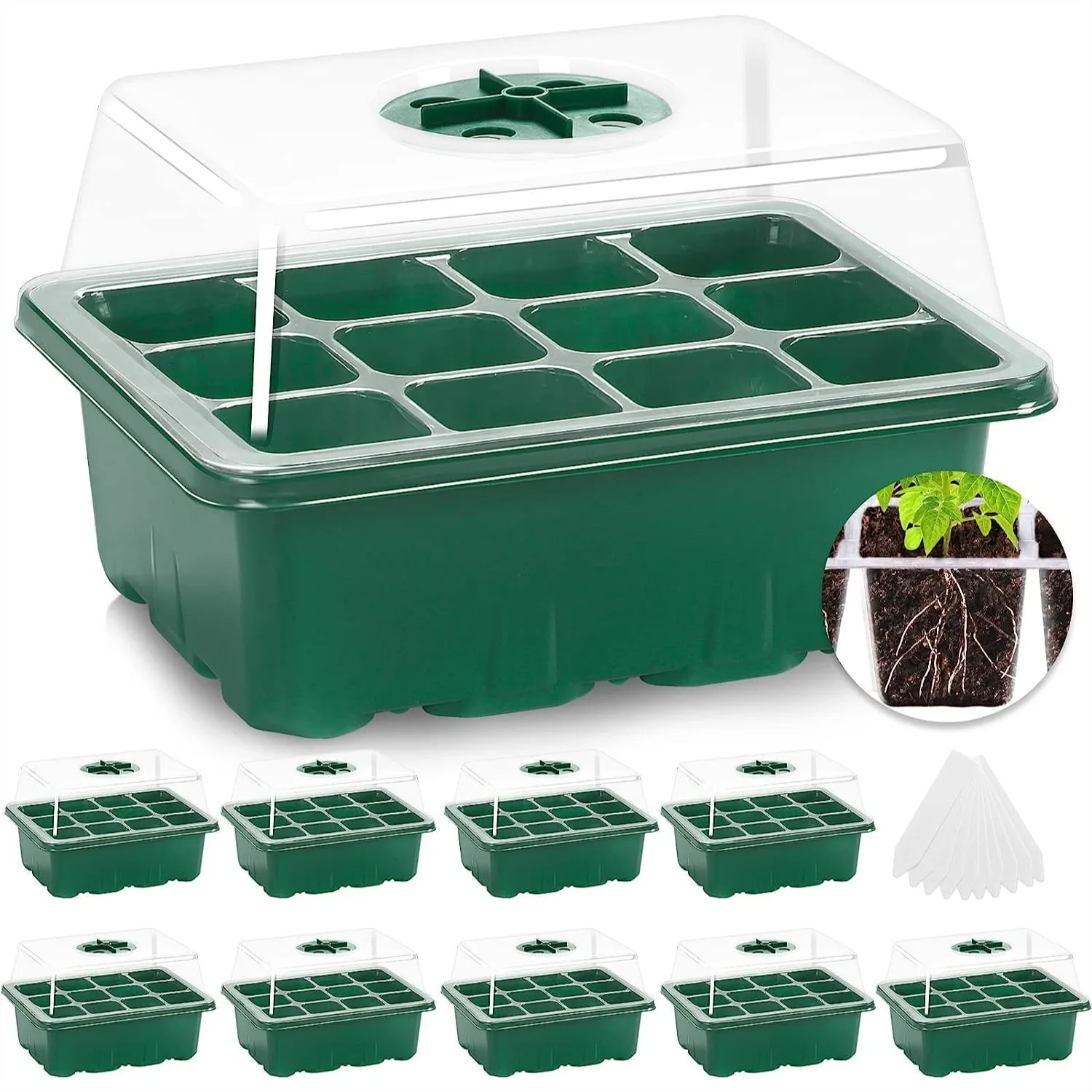 Seed Starter Tray with Humidity Dome - 10 Pack 120 Cells Plant Starter Kit Mini Greenhouse for Seeds Growing
Seed Starter Tray with Humidity Dome - 10 Pack 120 Cells Plant Starter Kit Mini Greenhouse for Seeds Growing