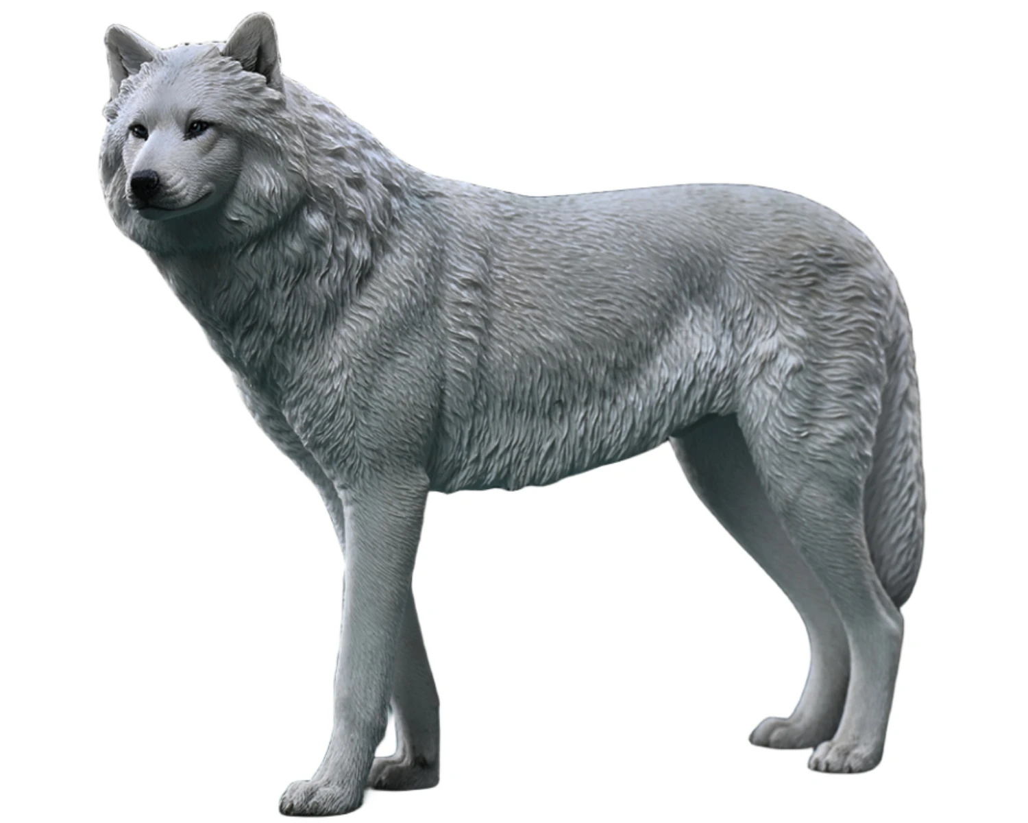 HiPlay JXK Wolf Arctic Wolf Expertly Hand-Painted Lifelike Safe Resin 1:6 Animal Figurine 
HiPlay JXK Wolf Arctic Wolf Expertly Hand-Painted Lifelike Safe Resin 1:6 Animal Figurine