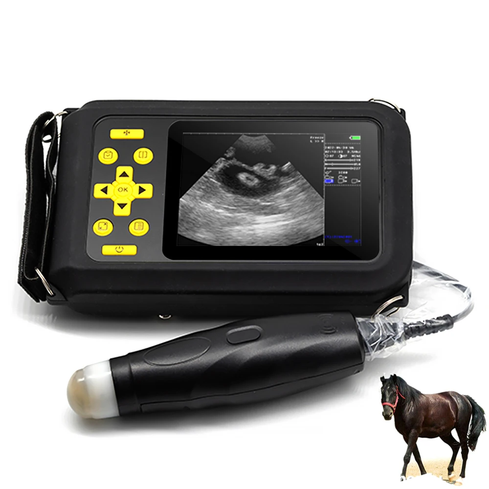 Handheld Ultrasound Scanner Portable Veterinary Ultrasound Machine for Sheep Pig Animals
Handheld Ultrasound Scanner Portable Veterinary Ultrasound Machine for Sheep Pig Animals