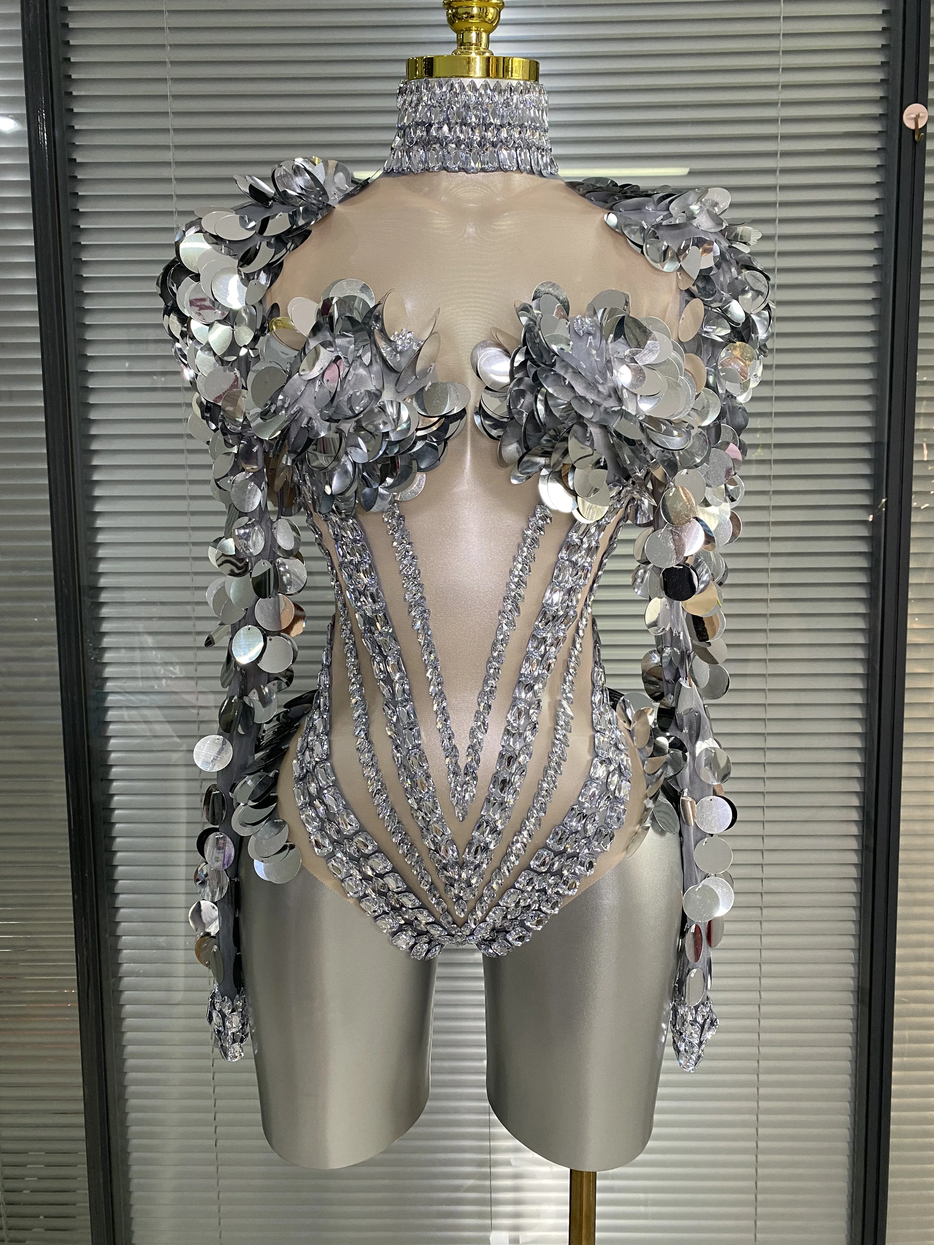 Sparkly Diamonds Women Sequins Sexy Mesh See Through Bodycon Sleeve Bodysuit Party Nightclub Stage Wear Performance Costume
Sparkly Diamonds Women Sequins Sexy Mesh See Through Bodycon Sleeve Bodysuit Party Nightclub Stage Wear Performance Costume