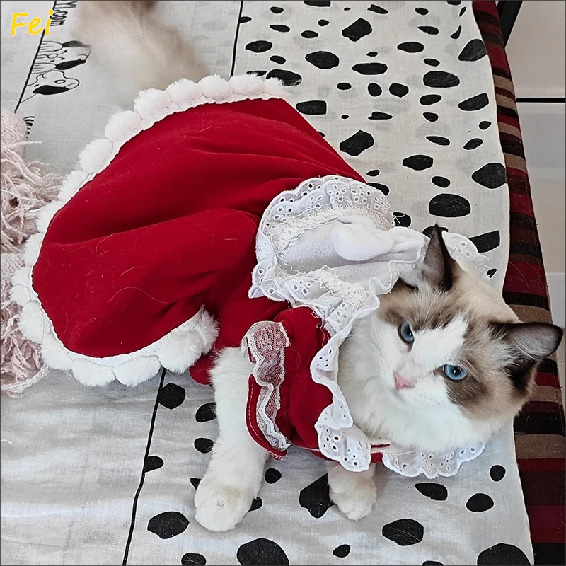 2025 Dog Dress Pomeranian Maltese Poodle Bichon Frise Schnauzer Dog Clothes Wedding Dresses Party Pet Clothing Lace Dog Skirt
2025 Dog Dress Pomeranian Maltese Poodle Bichon Frise Schnauzer Dog Clothes Wedding Dresses Party Pet Clothing Lace Dog Skirt