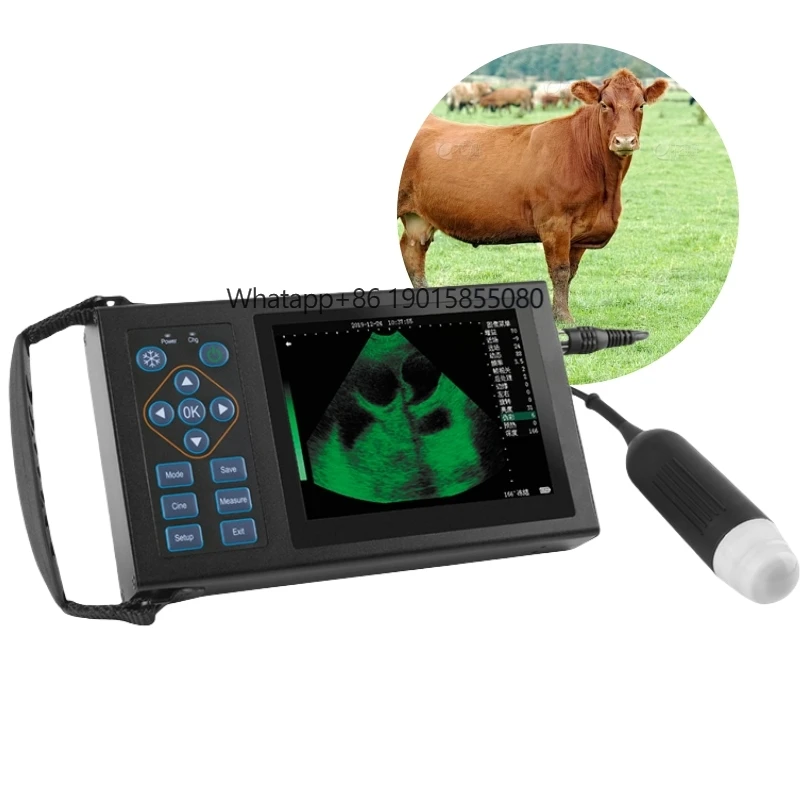 THR-VM10 Veterinary Equipment Portable Ultrasound Machine with Electronic Transrectal Probe
THR-VM10 Veterinary Equipment Portable Ultrasound Machine with Electronic Transrectal Probe